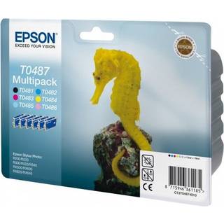 Epson Blæk Multipak T048 - R300