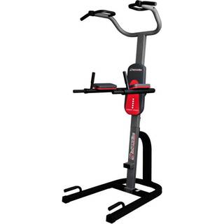Power Tower Dip Station, inSPORTline