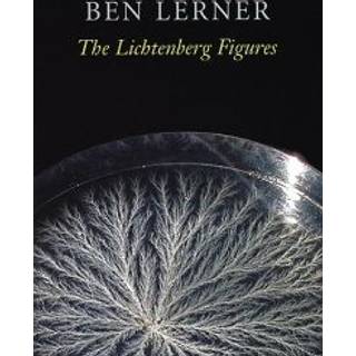 The Lichtenberg Figures