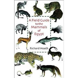 A Field Guide to the Mammals of Egypt