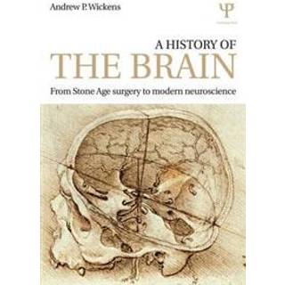 A History of the Brain