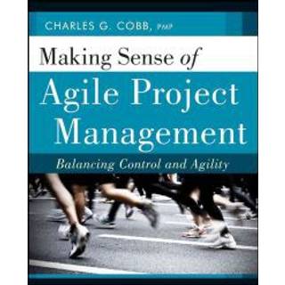 Making Sense of Agile Project Management