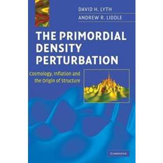 The Primordial Density Perturbation