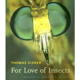 For Love of Insects