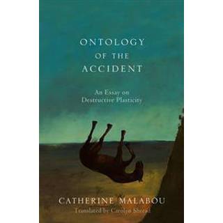 The Ontology of the Accident