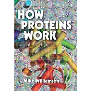 How Proteins Work