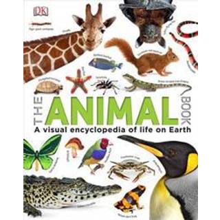 Our World in Pictures The Animal Book