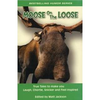 Moose on the Loose