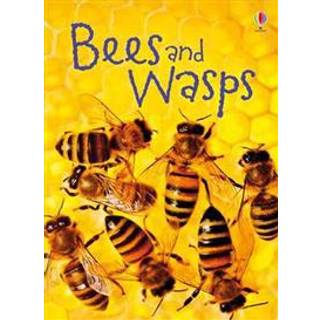 Bees and Wasps