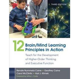 12 Brain/Mind Learning Principles in Action