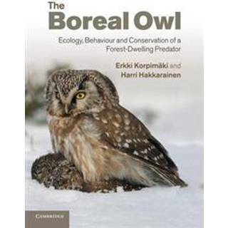 The Boreal Owl