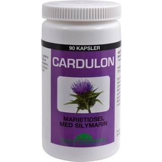Marietidsel Silymarin | 90 kap | Natur-Drogeriet