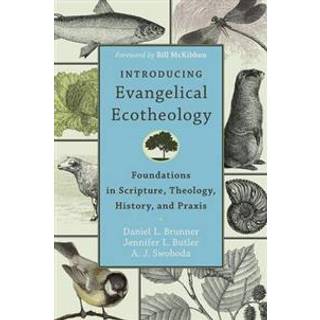 Introducing Evangelical Ecotheology – Foundations in Scripture, Theology, History, and Praxis