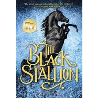The Black Stallion