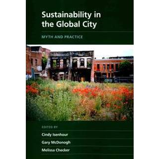 Sustainability in the Global City