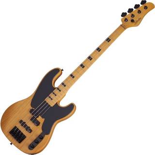 Schecter Model-T Session-4 ANS
