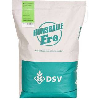 Græsfrø - Hunsballe Dansk Robust - 10 KG DSV EG Euro-Grass