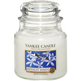Midnight Jasmine