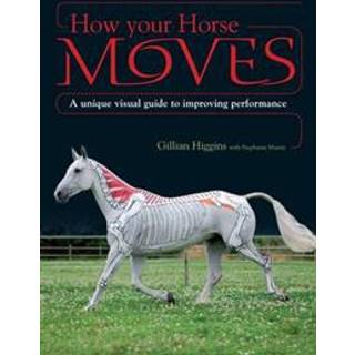 How Your Horse Moves