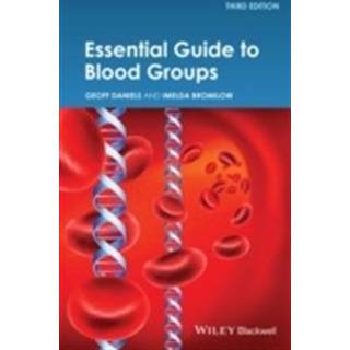 Essential Guide to Blood Groups