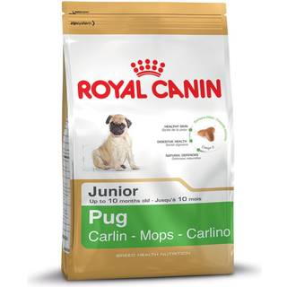 ROYAL CANIN Junior Mops 1,5 kg