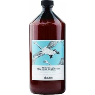 Davines Natural Tech Well Being Conditioner 1000 ml