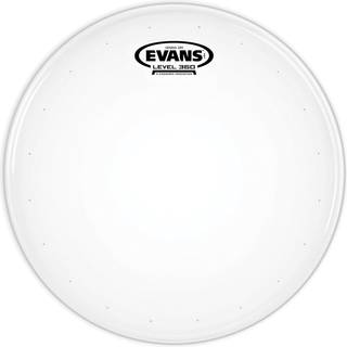 Evans B14DRY