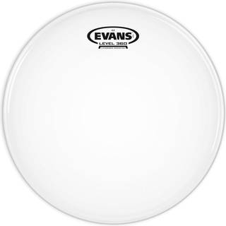 Evans BG2 12"