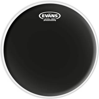 Evans BONX2 12"