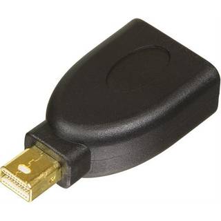 Deltaco DisplayPort-Mini DisplayPort adapter sort
