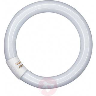 Osram T9 Cirkelrør 32W/827 29mm G10Q