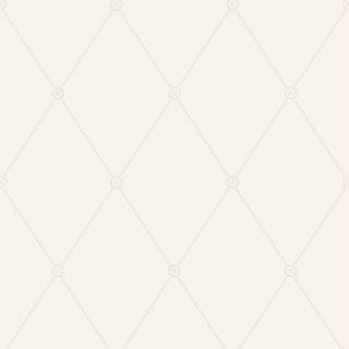 Cole & Son Wallpaper Large Georgian Rope Trellis 100/13060