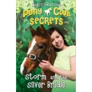 Storm and the Silver Bridle
