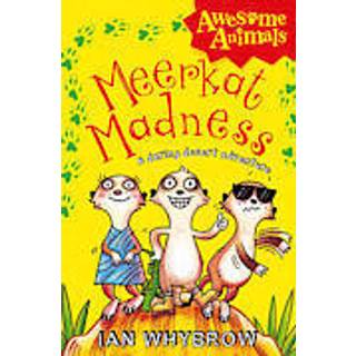 Meerkat Madness
