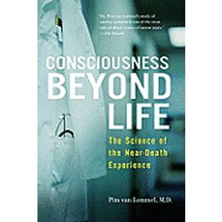 Consciousness Beyond Life