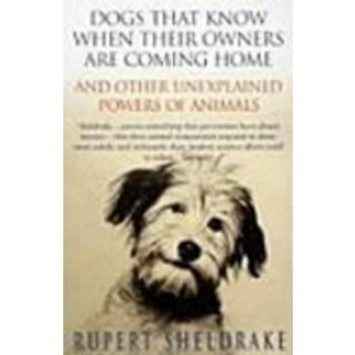 Dogs That Know When Their Owners Are Coming Home