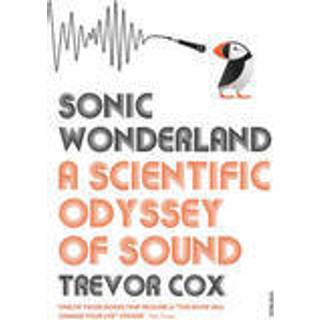 Sonic Wonderland