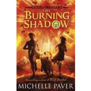 The Burning Shadow (Gods and Warriors Book 2)
