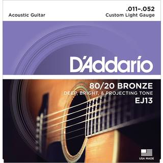 D'Addario EJ13