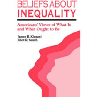 Beliefs about Inequality