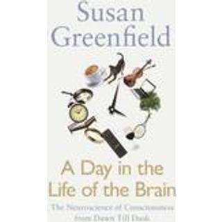 A Day in the Life of the Brain