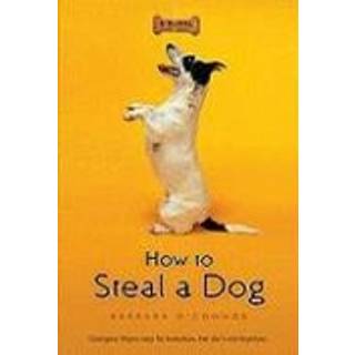 How to Steal a Dog