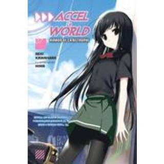 Accel World, Vol. 7 (Novel)