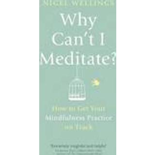 Why Can't I Meditate?