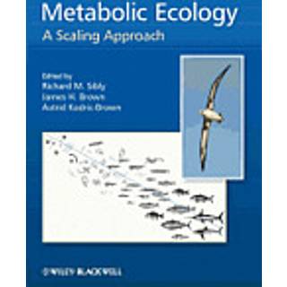 Metabolic Ecology