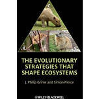 The Evolutionary Strategies that Shape Ecosystems