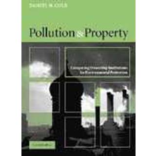 Pollution and Property