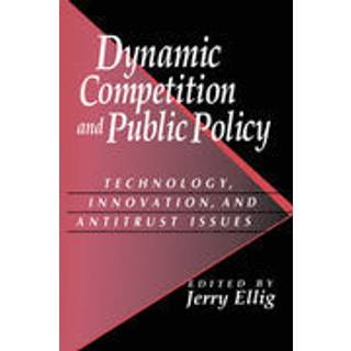 Dynamic Competition and Public Policy