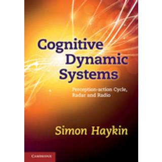 Cognitive Dynamic Systems