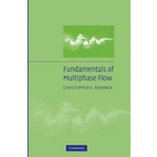 Fundamentals of Multiphase Flow